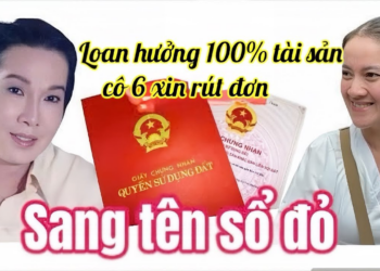 Mẹ Con HP Xấu Hổ Khi Má Tư Nói Hết Sự Thật Kẻ Ôm Thùng Điếu, Hồng Loan Nhận Tin Vui Luật Sư