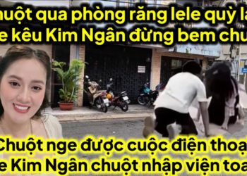 Chuột qua phòng răng lele quỳ lạy lele kêu kim ngân đừng bem chuột nge cuộc ĐT lele Ngân chuột toang