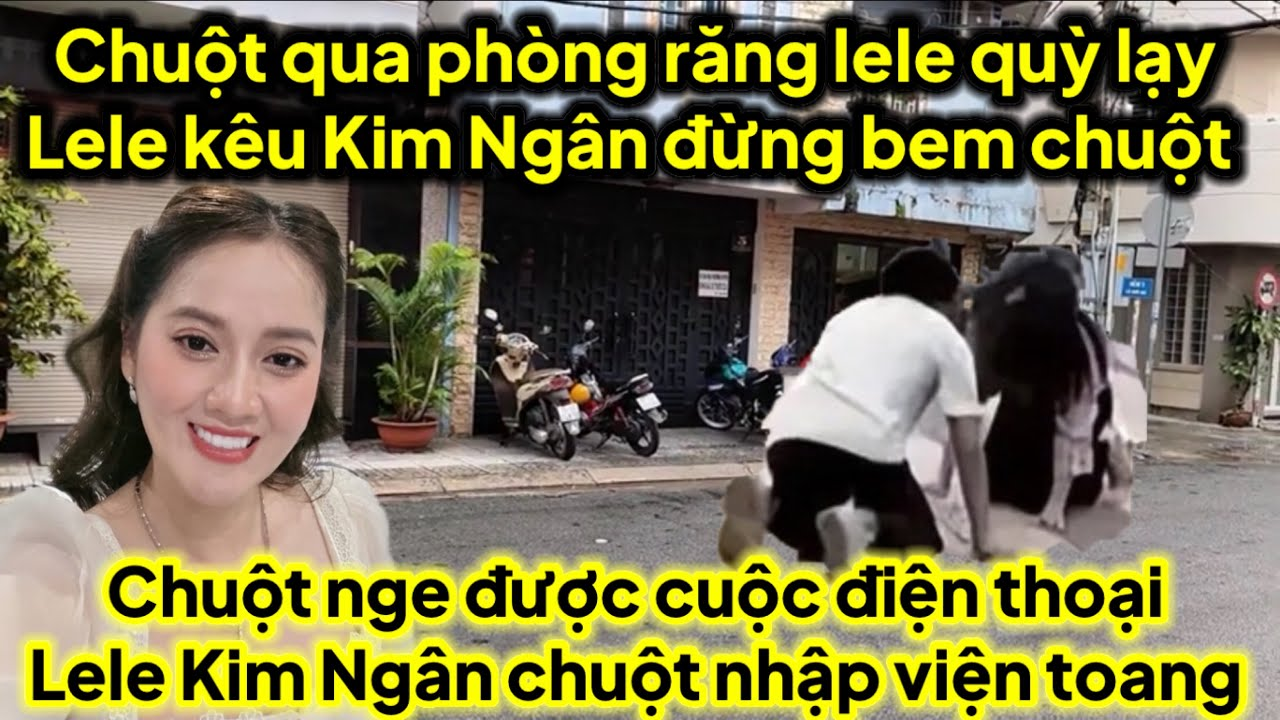 Chuột qua phòng răng lele quỳ lạy lele kêu kim ngân đừng bem chuột nge cuộc ĐT lele Ngân chuột toang