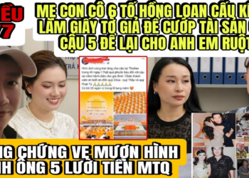 Ve Tố Hồng Loan Cấu Kết Ni Làm Giấy Tờ Giả Mạo Danh Con Nuôi Giành TS Của Cậu Để Lại Cho Anh Em Ruột