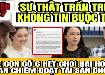 Mẹ Con Cô 6 Khóc Ngất Khi Bị Phanh Phui ” Sự Thật Trần Trụi Không Tin Buộc Tin “Hại Hồng Loan Lấy TS