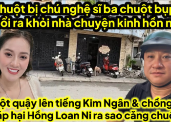 Chuôtk bị chú nghệ sĩ ba chuột bụp đuổi ra khỏi nhà chuyện kinh hồn này,chuột toang Kim Ngân ra sao