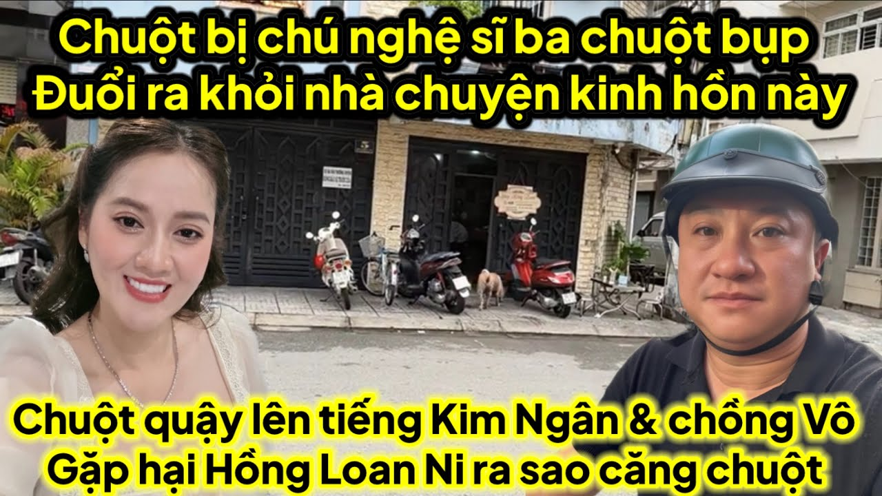 Chuôtk bị chú nghệ sĩ ba chuột bụp đuổi ra khỏi nhà chuyện kinh hồn này,chuột toang Kim Ngân ra sao