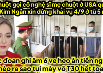 Chuột gọi cô nghệ sĩ mẹ chuột ở USA nan nỉ Kim Ngân ko khai vụ 4/9 sẽ ủ tờ 5 năm,ghi âm kinh hồn heo