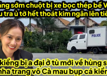 Sáng sớm chuột bị bế Kim Ngân lên tiếng khét cá kiểng bị a đại hùng sửu ở tù mới về vô tới nhà bụp