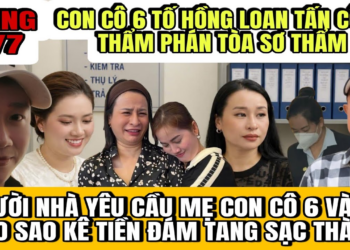 Mẹ Con Cô 6 Tố Hồng Loan Tấn Công Thẩm Phán Tòa Sơ Thẩm, Người Nhà Yêu Cầu Sao Kê Đám Tang Sạc Thành