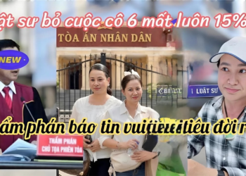 Hồng Loan Quá Mừng Luật Sư Báo Tin Hồ Sơ Hợp Lệ Loan Thắng Lớn, Cô 6 Mất Hết Rồi