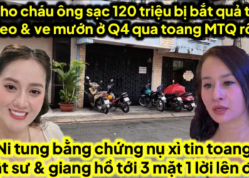 Bà cho cháu sạc pin 120 triệu xây mộ bị bắt quả tang ve heo mướn Q4 qua toang MTQ
