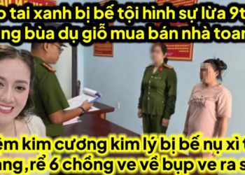 Heo tai xanh bị bế t/ội hình sự ủ tờ l/ừa 9tỷ800tr mua bán nhà,kim cương kim lý bị bế dì nụ toang