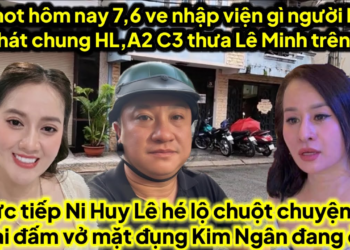 Trực tiếp Ni Huy Lê hé lộ Chuột bị a đại bảo kê chuột bụp vở mặt chuột đụng kim ngân đang ở sg