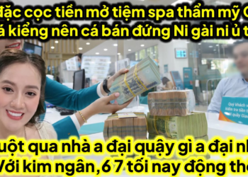 Lộ cá kiểng phản Ni gì sao C3 đặc cọc mở tiệm spa cho cá bắt cá gài đẩy Ni ủ tờ căng,chuột quậy ađại