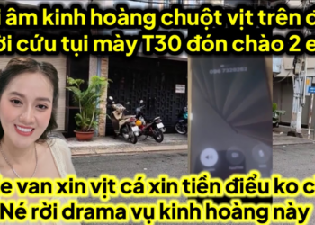 Ghi âm kinh hoàng vịt chuột trên đồn ủ tờ trời cứu 2 em ko ai cứu được lele rời drama gì vịt cá