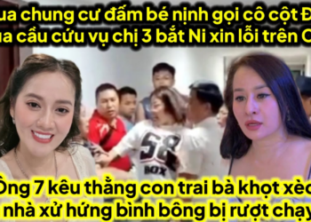 Ni qua chung đ/ấm bé nịnh gọi cô cột điện qua cầu cứu vụ Ni xin lỗi A3 c3 trên CA
