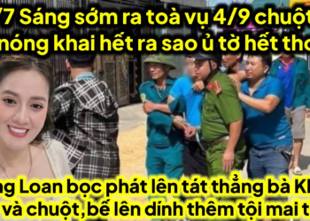 Sáng sớm ra toà vụ 4/9 chuột bị bế nóng khai hết thêm tội mai thuý,HL bức xúc khọt xèo ra mặt