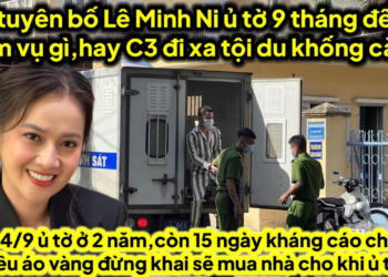 C3 tuyên bố Lê Minh Ni ủ tờ 9 đến 3 năm vụ gì hay C3 đi xa gì du khống,15ngày kháng cáo áo vàng khai
