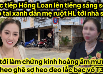Trực tiếp HL lên tiếng sáng sớm heo dẫn mẹ ruột HL tới nhà số 5 quậy âm mưu heo 6ve heo bị bế vô T30