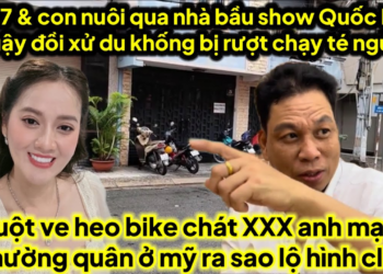 Chú 7 dẫn heo tai xanh qua nhà bầu show Quốc Bình quậy,chuột ve heo chát XXX MTQ ở mỹ lộ hình clip