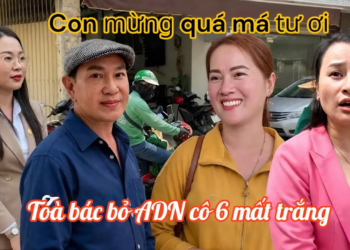 Má Tư Cao Tay Khiến Cô 6 Rút Đơn Mất Trắng 15%, Hồng Loan Nhận Tin Vui Tử Toà Bác Bỏ ADN