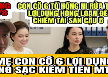 Con Cô 6 Tố Hồng Ni Rửa Tiền Lợi Dụng Con Nuôi Hồng Loan Để Chiếm Lấy Tài Sản Cậu 5