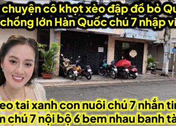 Lớn chuyện cô khọt xèo đập đồ bỏ quay về chồng lớn hàn quốc chú 7 nhập viện heo nhắn tin bụp chú 7