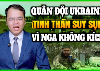 Zelensky Đã Tước Đoạt Cơ Hội Của Kiev: Quân Đội Ukraine Từ Lạc Quan Đến Tuyệt Vọng || Bàn Cờ Thế Sự