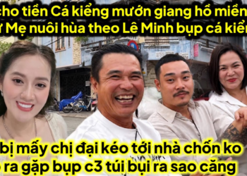C3 cho tiền cá kiểng mướn giang hồ miền tây xử mẹ nuôi cá kiểng gì gặp Lê Minh làm đều này,c3 bị bụp