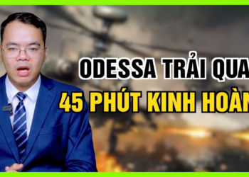 Elon Musk Tiết Lộ Lý Do Từ Chối Ukraine Dùng Starlink Để Tấn Công Lãnh Thổ Nga
