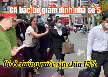 Happy cô 6 xuống nước xin chia 15%
