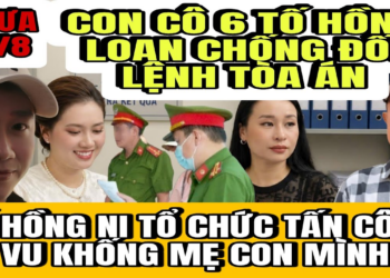 Con Cô 6 Tố Hồng Loan Chống Đối Lệnh Tòa Án, Hồng Ni Tổ Chức Nhóm YTB Tấn Công Mẹ Con Mình