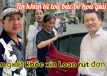 Em Guột Lo Sợ Nhờ Nghệ Sĩ Lớn Xin Hồng Loan Rút Đ.ơn, T.oà Hủy Giám Định Cô Sáo M.ất Trắng 15%