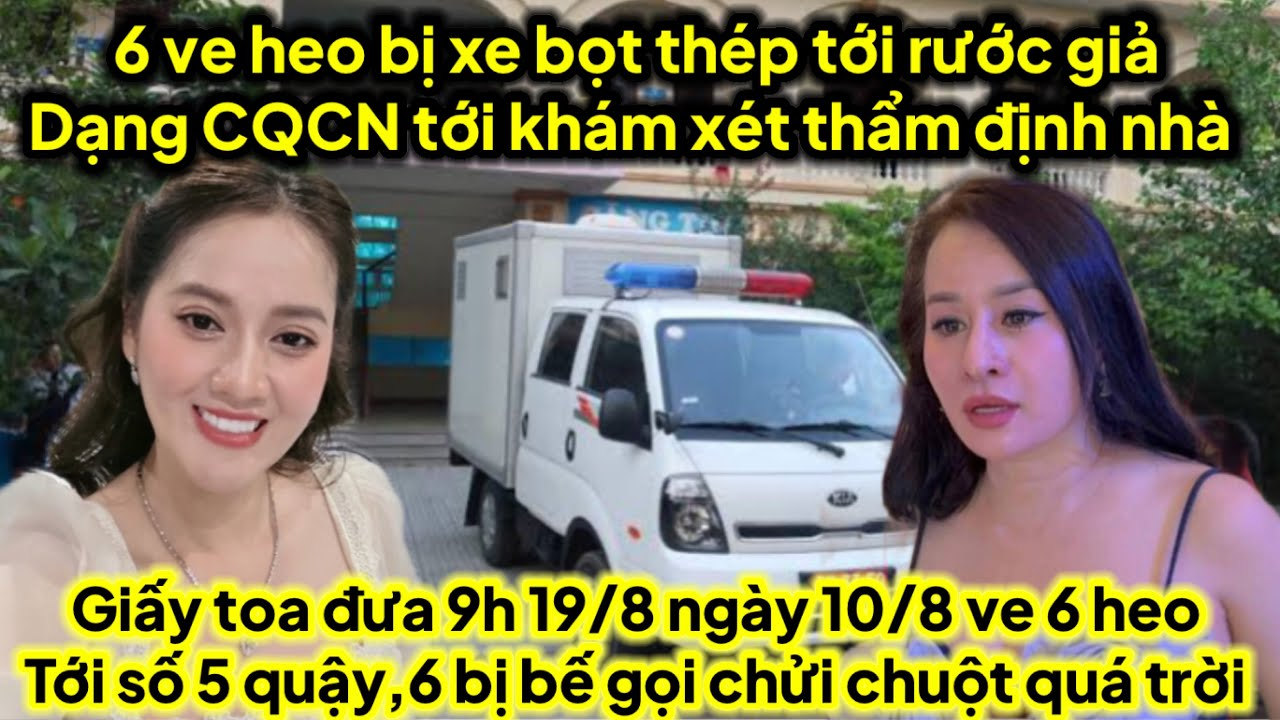 6 ve heo bị bế lên đồn giả CQCN 9h 19/8 toà xuống mới được thẩm định 10/8 đã qua quậy bế gấp ra sao