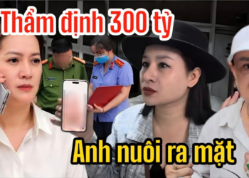 Phong Đỗ Cảnh Báo Chiêu Thẩm Định NS5 300 Tỷ, Hồng Loan Đập Tan Lý Lẻ Của Bún Bò