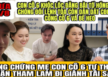Con Cô 6 Khóc Lóc Đưa Bằng Chứng Hồng Loan Chống Đối Lệnh Tòa Còn Dẫn Dắt CĐM Tấn Công Cô 6 Bé Heo