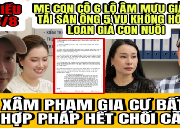 Lộ Bằng Chứng Mẹ Con Cô 6 Ủ Mưu Giành Tài Sản Của Ông 5 Nên Vu Khống Cho Hồng Loan Giả Con Nuôi