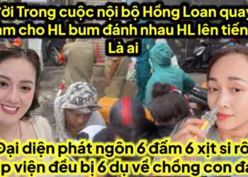 Người trong nội bộ HL quay xe làm cho bum HL..đ.ánh nhau là ai,6 bị đại diện phát ngôn bụp nhập viện