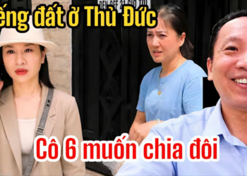 Phong Đỗ Cảnh Báo Miếng Đất Ở Thủ Đức, Hồng Loan Tá Hỏa Bún Bò Muốn Chia Đôi