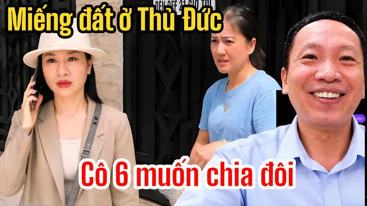 Phong Đỗ Cảnh Báo Miếng Đất Ở Thủ Đức, Hồng Loan Tá Hỏa Bún Bò Muốn Chia Đôi