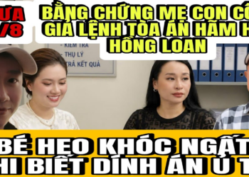 Con Cô 6 Bịa Chiện Công Văn Tòa Án Để Hãm Hại Hồng Loan Mang Tiếng Chống Đối CQCN