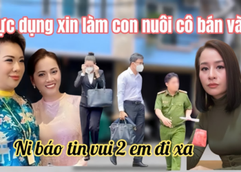 Hồng Loan Mừng Thầm Chị Ni Báo Tin Vui Pháp Lý, Kẻ Này Dính 331 Xuống Nước Xin Lỗi Ni