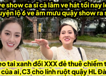 Ve quậy show ca sĩ cà lâm tối nay,heo đẻ thuê chiếm tài sản của ai,C3 cho lính ruột quậy HL đà lạt